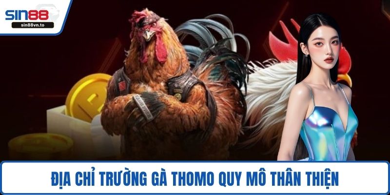 Địa chỉ trường gà Thomo quy mô thân thiện
