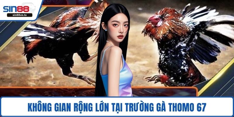 Không gian rộng lớn tại trường gà Thomo 67