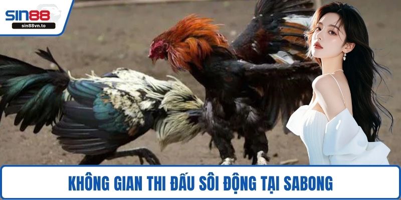 Trường Gà Sabong – Địa Điểm Giải Trí Đá Gà Đỉnh Cao 2 Không gian thi đấu sôi động tại Sabong