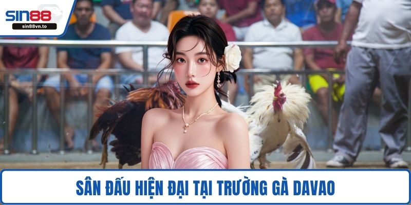 Trường Gà Sabong – Địa Điểm Giải Trí Đá Gà Đỉnh Cao 4 Sân đấu hiện đại tại Trường gà Davao