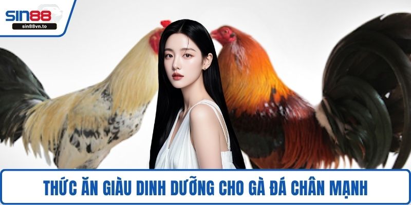 Thức ăn giàu dinh dưỡng cho gà đá chân mạnh